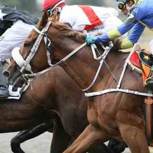 Colombia – Colombia to allow pari-mutuel betting