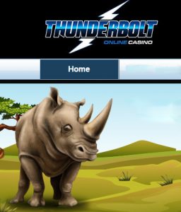 South Africa – Springbok buys Thunderbolt casino