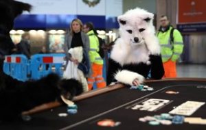 UK – Grosvenor brings Dogs at Cards to life in pop-up promo