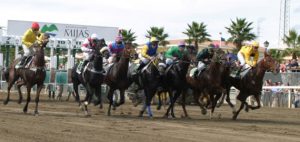 Spain – Public inquiry into management of Malaga racetrack