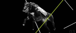 UK – Matchbook expands British and Irish greyhound portfolio with SIS