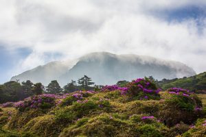South Korea –  Four Seasons commits to Resort Jeju Island