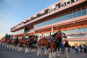 US – Betfair lines up sports betting opportunity with Meadowlands Racetrack