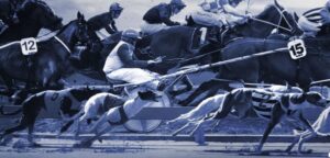 New Zealand – New Zealand Racing Board launches sportsbook with Scientific Games