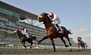 United Arab Emirates – SIS renews agreement with Dubai Racing Club