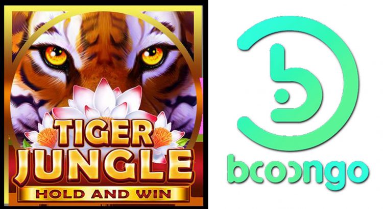 Curaçao – Booongo rolls out latest Hold and Win hit Tiger Jungle