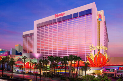 Flamingo e1764059474172 415x275 c