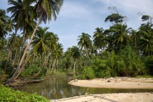 インド・グレート・ニコバル島観光計画にカジノ開発案