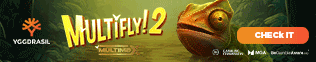 Yggdrasil adds Iron Heart Games to YGG Masters program 2