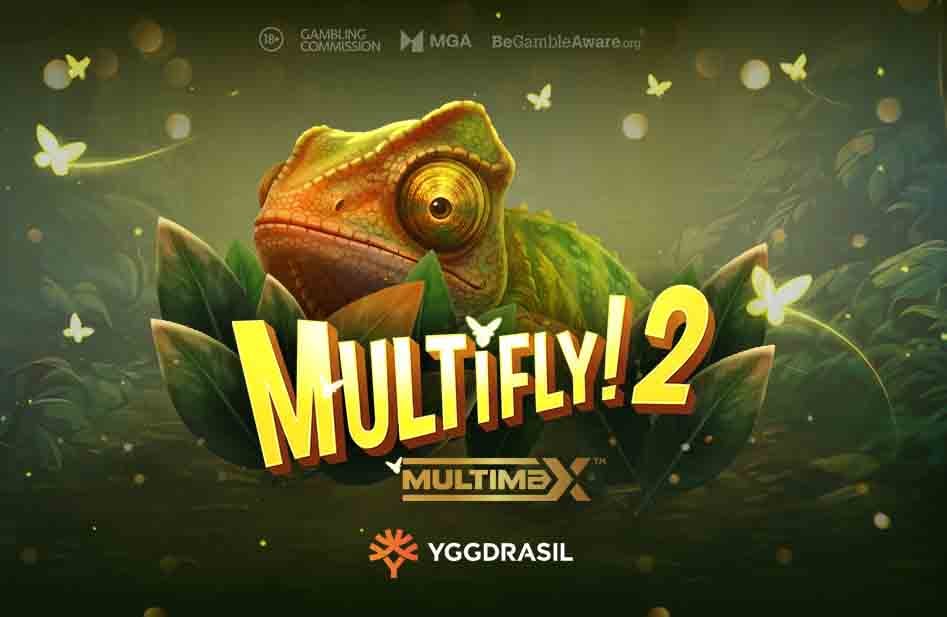 MultiFly! 2 MultiMax