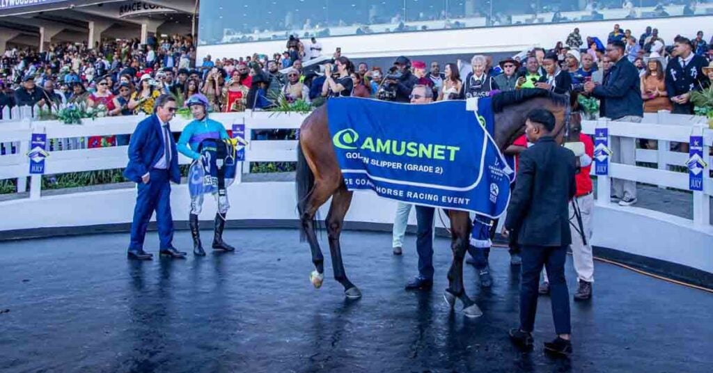 Amusnet sponsors Hollywood Bets, Durban July