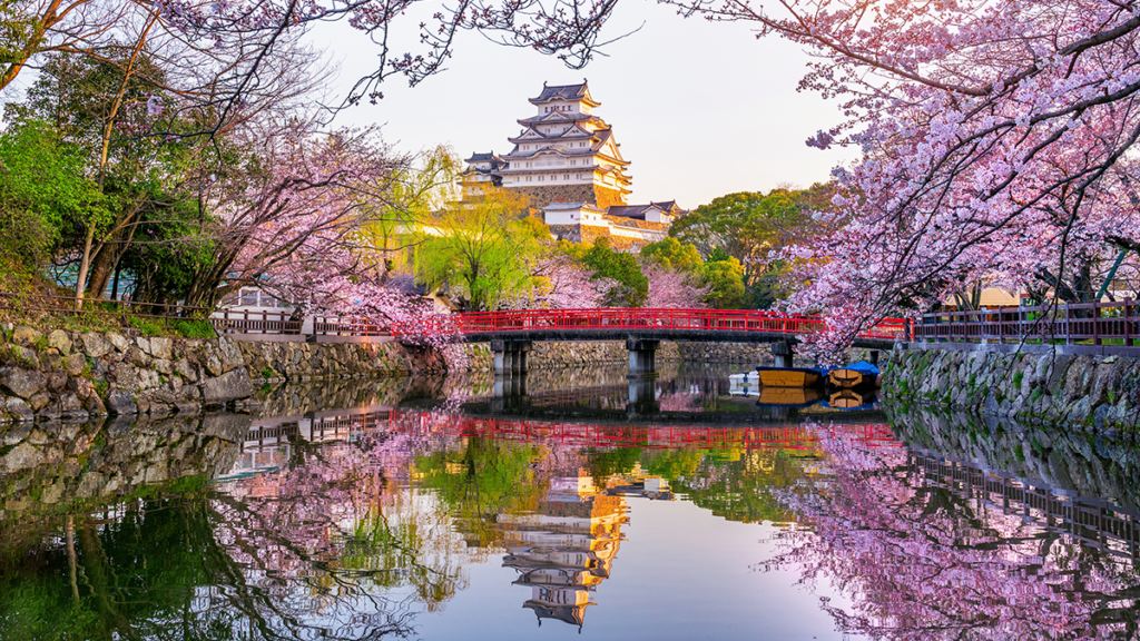 Japan ancient castle