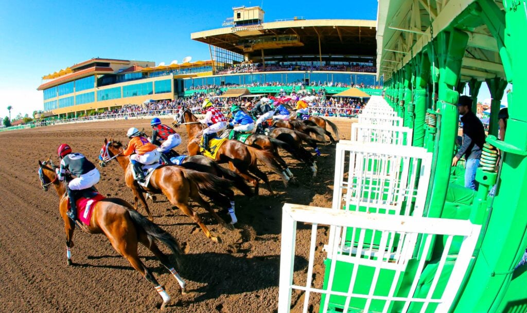 Turf Paradise Racecourse